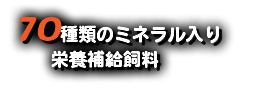 70種類のミネラル入り 栄養補給飼料