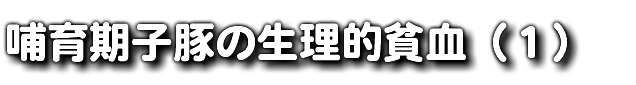 哺育期子豚の生理的貧血（１）