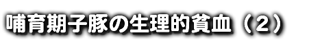 哺育期子豚の生理的貧血（２）