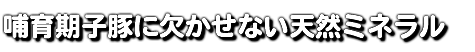 哺育期子豚に欠かせない天然ミネラル