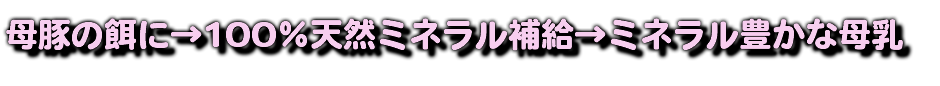 母豚の餌に→100％天然ミネラル補給→ミネラル豊かな母乳