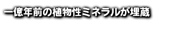 一億年前の植物性ミネラルが埋蔵