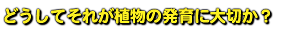 どうしてそれが植物の発育に大切か？