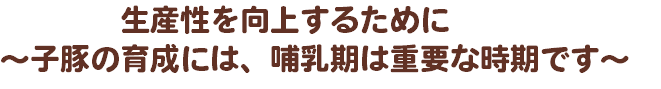  生産性を向上するために ～子豚の育成には、哺乳期は重要な時期です～