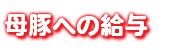 母豚への給与