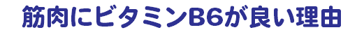 筋肉にビタミンB6が良い理由