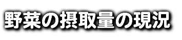 野菜の摂取量の現況