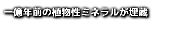 一億年前の植物性ミネラルが埋蔵